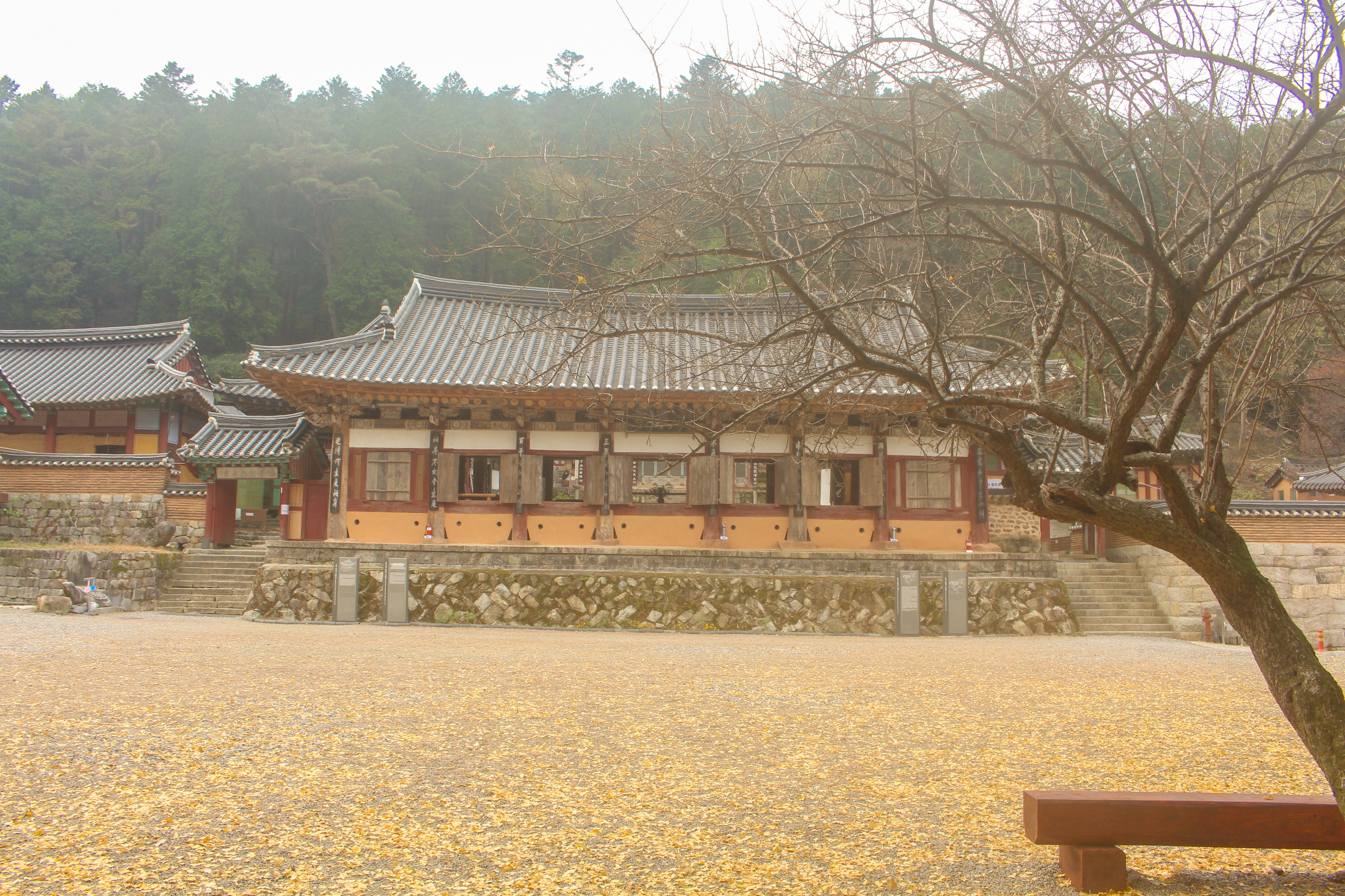 옥천사